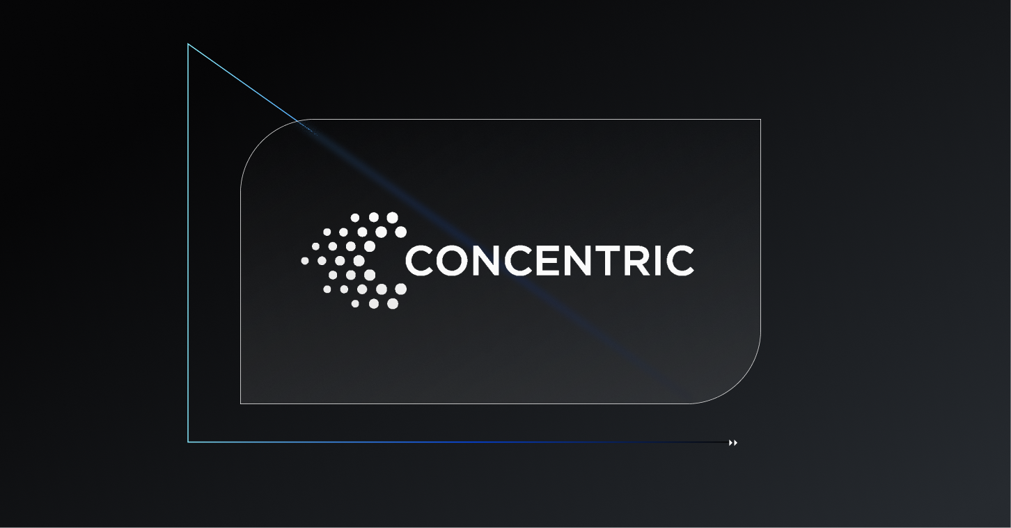 Introducing Concentric: AI solutions for securing critical data